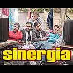 Sinergia Sinergia